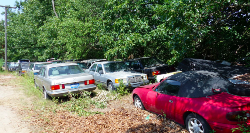 Illustration for article titled One Year Later, Michigan Man Ordered to Sell 20 Cars a Month Is Out 160 Cars but Remains Upbeat